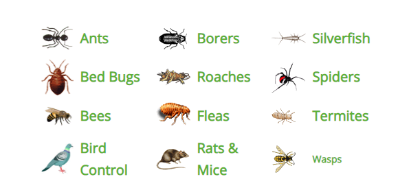 commercial Pest Control Services in kenya, commercial fumigation services, fumigation services