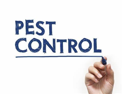 Residential Pest Control Services in kenya