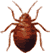 bed bugs control, bedbugs control, bedbug control, bed bugs control services,