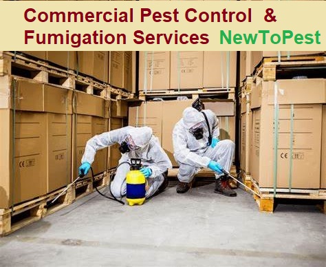 commercial pest control in kenya
