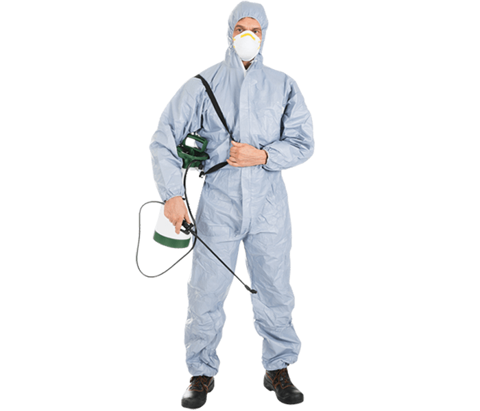 pest management companies Kenya, pesticide companies in Kenya, professional pest control Kenya, best pest control companies in Kenya, pest control services in Nairobi, fumigation services in Kenya, termite control companies in Kenya, pest control products in Kenya, rodent control companies in Nairobi, bedbug extermination services in Kenya, insect control companies in Mombasa, pest control services in Nairobi, fumigation services in Kenya, termite control companies in Kenya, pest control products in Kenya, rodent control companies in Nairobi, bedbug extermination services in Kenya, insect control companies in Mombasa, pest exterminators in Nairobi, pest control services, pest control companies, rat control services in Nairobi, termite control services, fumigation services, bed bug control services, cockroach control services, fumigation services in Nairobi, mosquito control services, commercial pest control services, residential pest control services, pest removal services, rodent control services in Nairobi, insect control services, pest inspection services Nairobi,